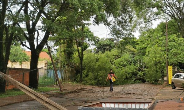 Árboles y columnas bloquean calle en CDE