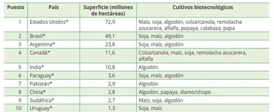 Paraguay, firme en el uso de biotecnología
