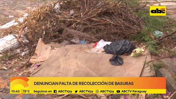 Denuncian falta de recolección de basuras - ABC Noticias - ABC Color