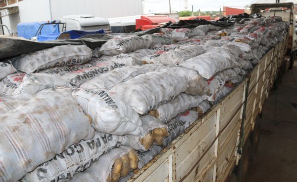 Agentes decomisan 35 toneladas de papas de contrabando