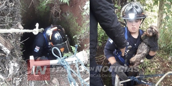 BOMBEROS RESCATAN A PERRITO DE MORIR EN UN PROFUNDO POZO