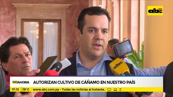 Ejecutivo decreta reglamentación de la producción industrial del cáñamo - Nacionales - ABC Color