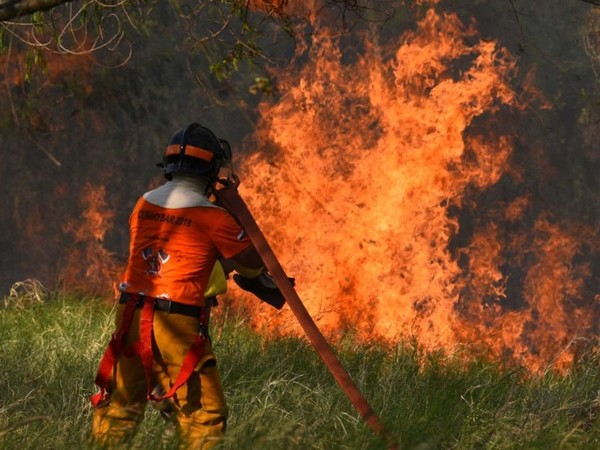BNF ofrece créditos a afectados por incendios forestales