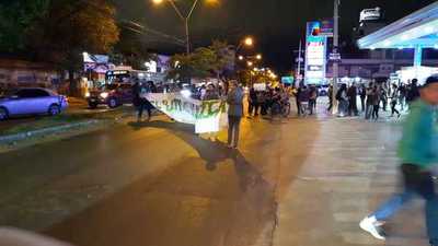 Manifestantes exigen que cese la tala de árboles en el Botánico » Ñanduti