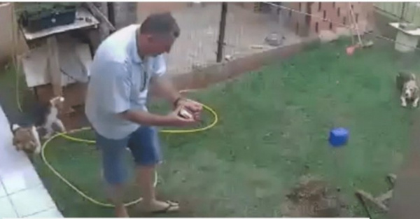 Por hormigas quemó su jardín