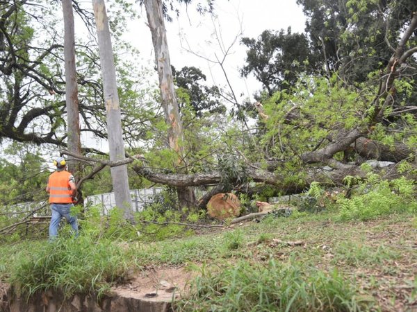 Tras protesta, Policía garantiza tránsito en zona del Jardín Botánico