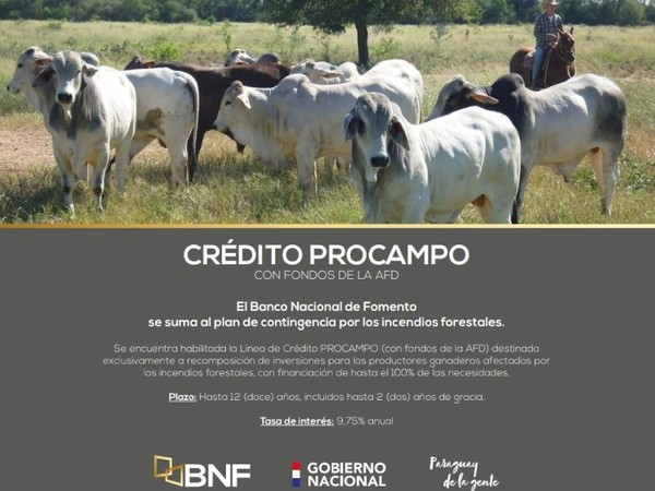 BNF habilita crédito para productores pecuarios afectados por los incendios forestales