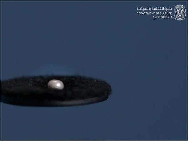 Hallan una perla de 8.000 años en Emiratos Árabes