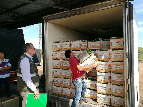Senave dispuso nuevos lineamientos para el traslado de productos vegetales | .::Agencia IP::.