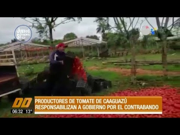 Tiran tomates por la falta de venta