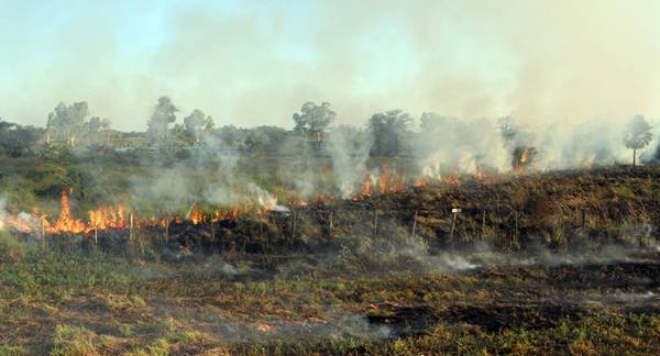 BNF habilita créditos para productores afectados por incendios