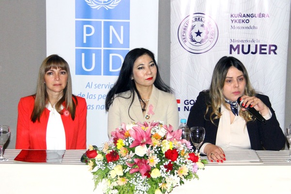 PNUD inició taller para lograr la igualdad de género en instituciones públicas | .::Agencia IP::.