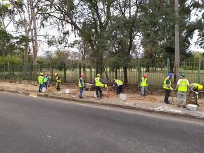 MOPC presentó denuncia por desacato a la orden judicial en el caso del Corredor Vial Botánico | .::Agencia IP::.
