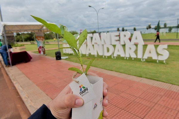 Itaipú apoya arborización con especies nativas
