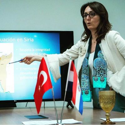 Acción armada es contra terroristas kurdos según embajadora turca