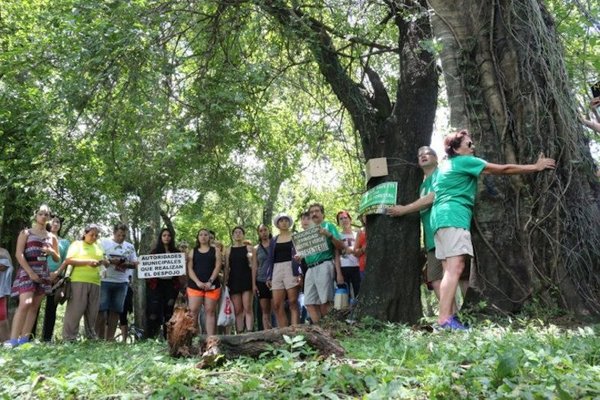 Manifestantes del Botánico son denunciados por el MOPC | Noticias Paraguay