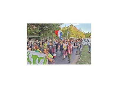 Botánico: Dicen que árboles trasladados no se secarán