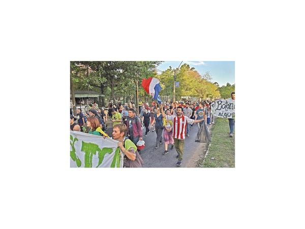 Botánico: Dicen que árboles trasladados no se secarán