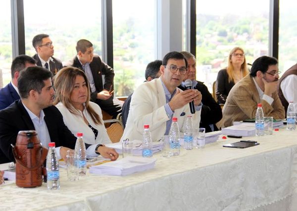 Bicameral advierte sobre fuerte lobby por aumentos - Economía - ABC Color