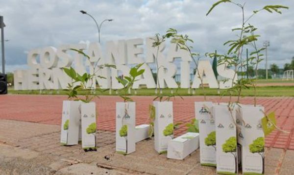 Campaña Enarbolate entregará 10.000 plantines