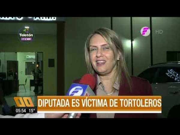 Diputada es víctima de tortoleros