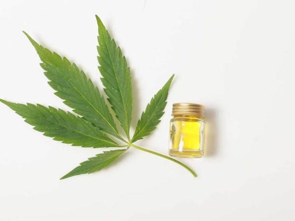 La comercialización de aceite de cannabis no es negocio, aseguran desde Lasca
