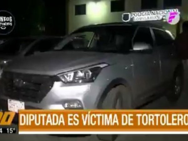 Diputada fue víctima de tortoleros