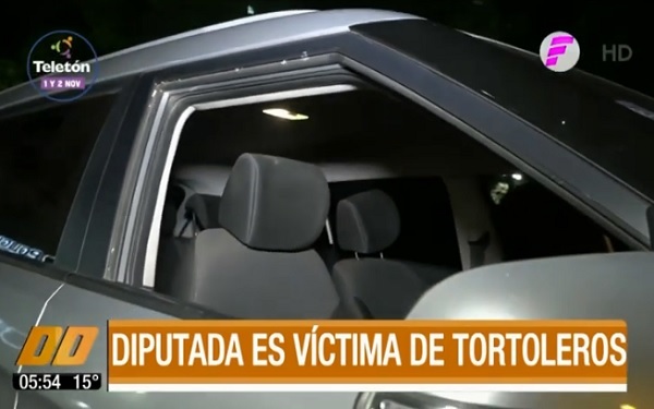 Diputada es víctima de tortoleros