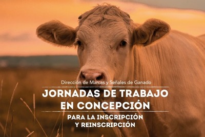 Realizarán jornadas de inscripción y reinscripción de marcas | Radio Regional 660 AM