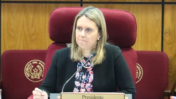 Diputada es víctima de "tortoleros"