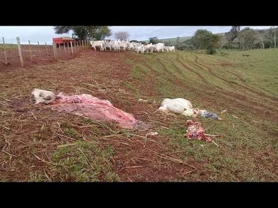 ITAPÚA CONTARÁ CON UNA BRIGADA ESPECIAL ANTI ABIGEATOS