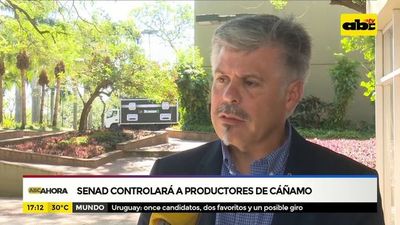 Senad controlará a productores de cáñamo - ABC Noticias - ABC Color