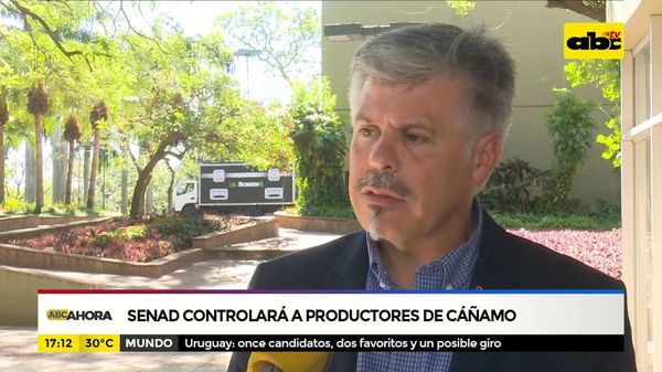 Senad controlará a productores de cáñamo - ABC Noticias - ABC Color