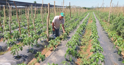 Don Juan, el capo de la agricultura
