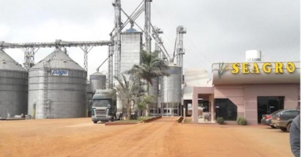 Otro omano al ser aplastado por fardo de arroz