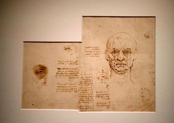 Leonardo da Vinci, el hombre de las múltiples facetas - Cultura - ABC Color