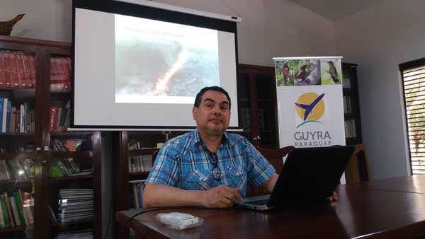 Incendio afectó el 80% del Pantanal y el 100% de Fortín Galpón, sostiene ONG » Ñanduti