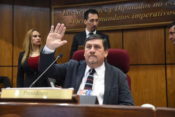 Candidatos deben informar en campaña si van a pedir la reelección, dice Llano - Nacionales - ABC Color