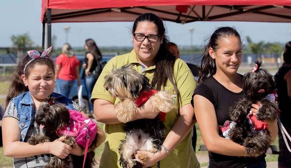 Organizan “donatón” para perros y gatos de refugios en la Costanera