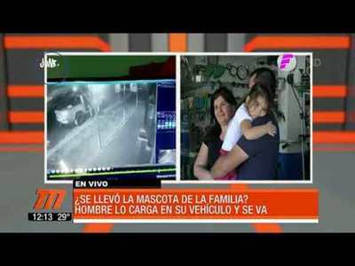 Perros de raza también son víctimas de la inseguridad