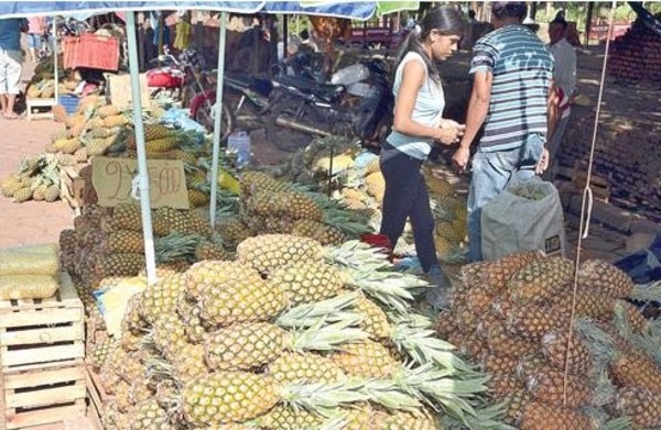 Cuantiosas pérdidas para productores de banana y piña