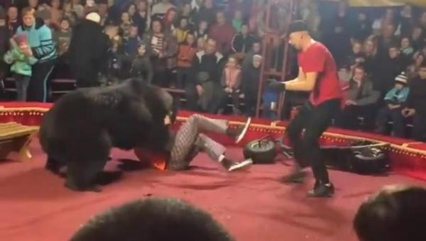 Captan momento en que oso ataca a entrenador en circo | Noticias Paraguay