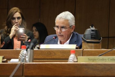 Arrom y Martí "están bien conectados y asesorados" afirma Fidel Zavala » Ñanduti