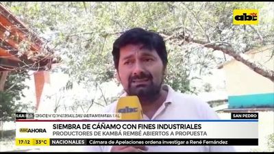 Kambá Rembé: Siembra de cáñamo con fines industriales - ABC Noticias - ABC Color