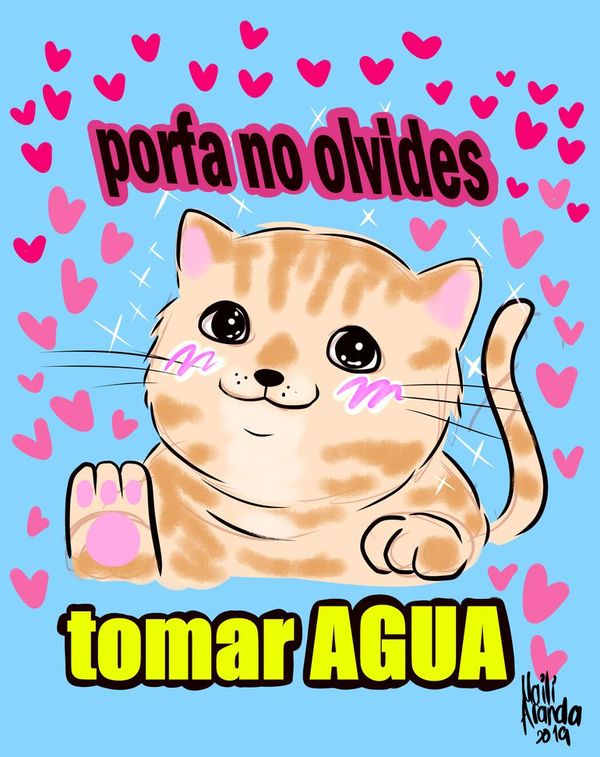Tomá agüita, como aconsejan los memes, para mantenerte hidratado y sano - Periodismo Joven - ABC Color