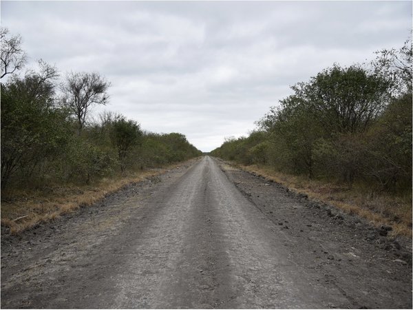 Reportan signos de recuperación en Pantanal paraguayo