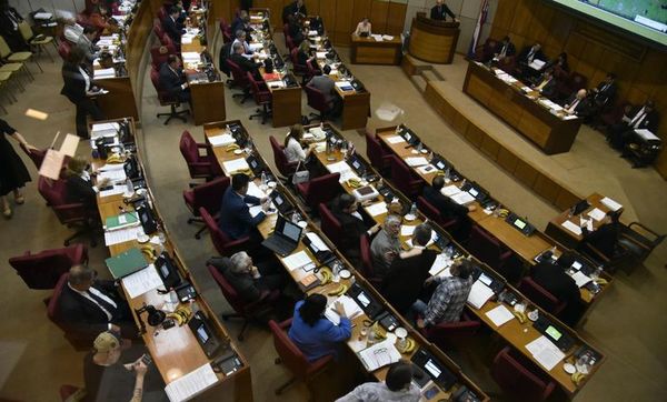 Senado aprueba que solo empresas dedicadas a finanzas puedan pedir datos a Informconf - Nacionales - ABC Color