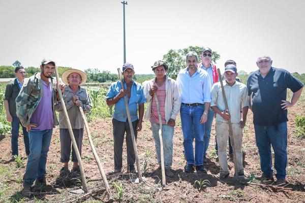 Gobierno da inicio en Itapúa a campaña de siembra del sésamo negro | .::Agencia IP::.