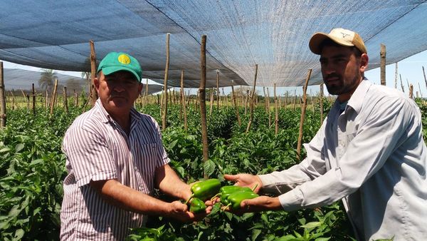 Padre de familia educó a sus hijos mediante producción hortícola