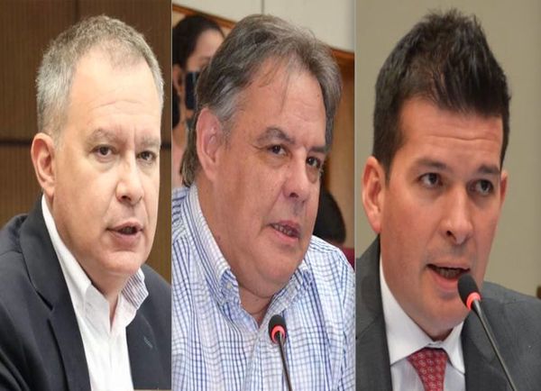 Masivo rechazo a la propuesta de reelección